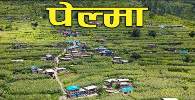 पेल्मालाई सडक सञ्जालमा जोड्न सरकारसँग माग